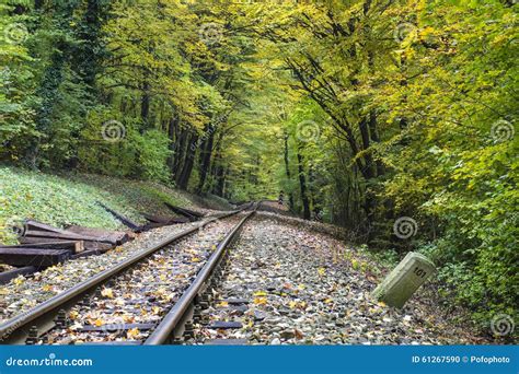 Railway In Autumn Forest Stock Photo Image Of Seasonal 61267590