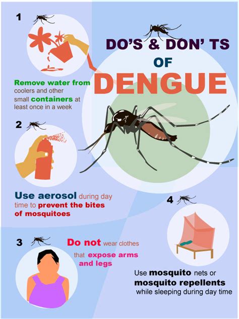 Dengue Fever National Health Portal Of India