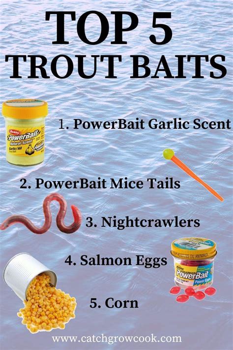 Best Baits For Trout Fishing Share Your Experience Rfishingtricks
