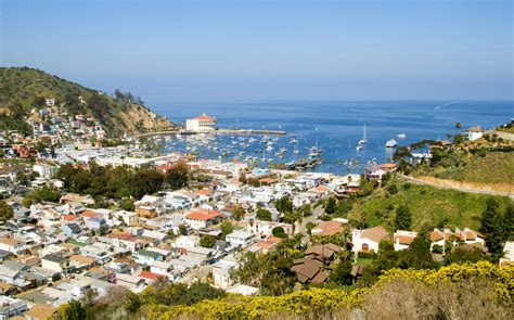 Catalina Island Scenic Tour Of Avalon Find Guided Tours