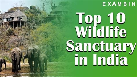 Top 10 Wildlife Sanctuaries In India Upsc Wildlife Sanctuary And