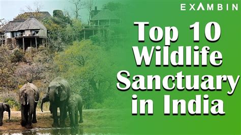 5 Wildlife Sanctuaries India Map United States Map