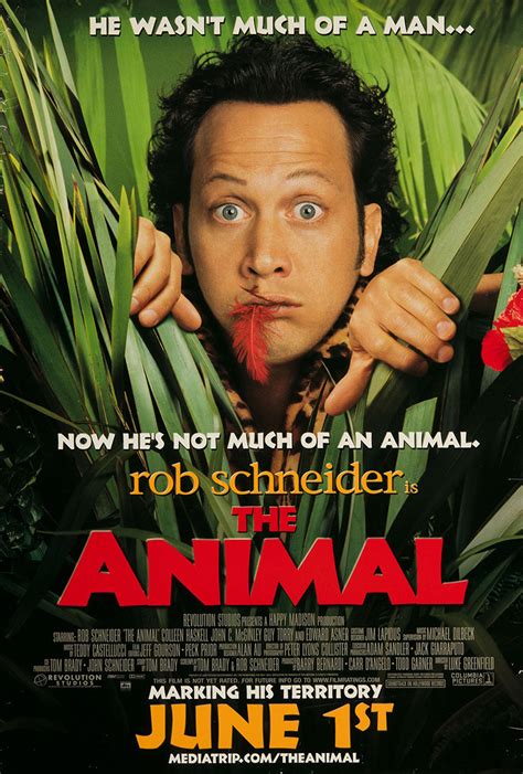 The Animal 1 Of 2 Extra Large Movie Poster Image Imp Awards