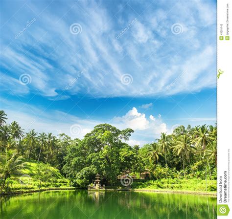 Paradise Lake With Palm Trees And Blue Sky Tropical Nature Land Stock