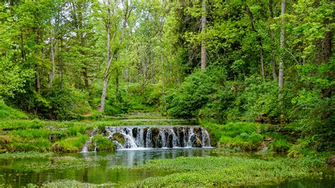 Waterfall In The Greenery Forest Pouring On Plants Covered