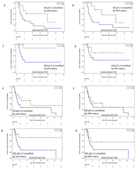Cancers Free Full Text Prognostic Significance Of P16 And Its Relationship With Human