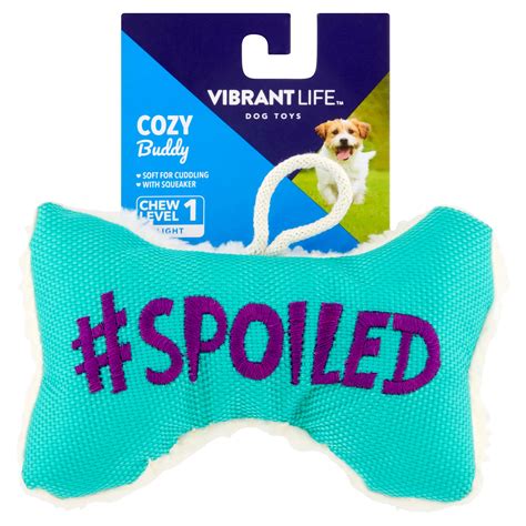 Vibrant Life Cozy Buddy Squeaky Bone Dog Toy Color May Vary Chew