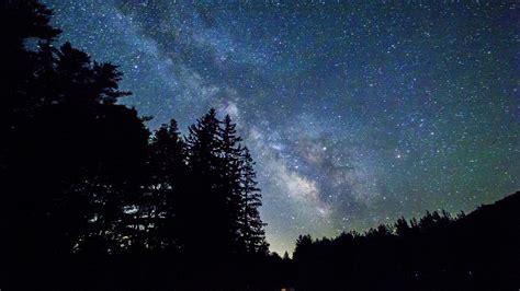 starry sky, trees, galaxy 4k Trees, starry sky, Galaxy