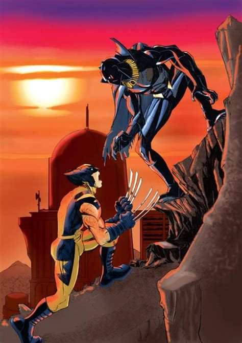 Wolverine Vs Black Panther By Illustrator N Steven Harris