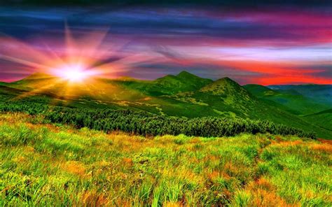 Green Sunrise Wallpapers 4k Hd Green Sunrise Backgrounds On Wallpaperbat