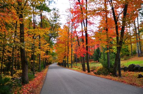 New England Fall Foliage Escorted Tour Complete North America