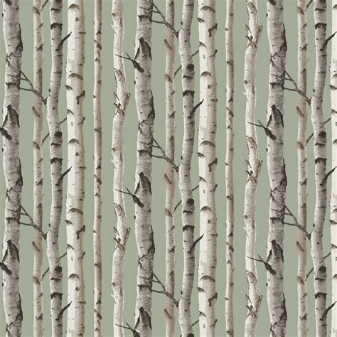 Albany Wallpaper Birch Trees M X M