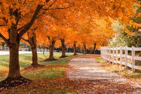 5 Places To See Beautiful Fall Foliage In Washington Dc 2021