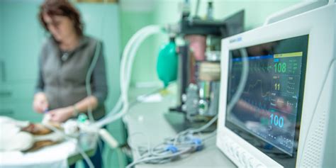 Ark Animal Hospital | Veterinary Services | Claremore Oklahoma