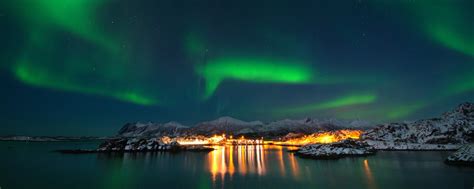 Wildlife And Northern Lights In Senja Norway