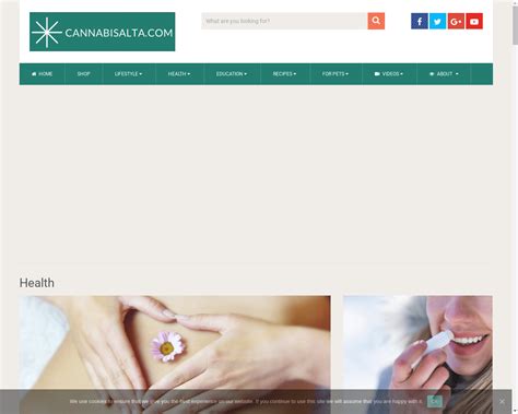 — marketplace sold on flippa 100 automated cannabis cbd store blog valued