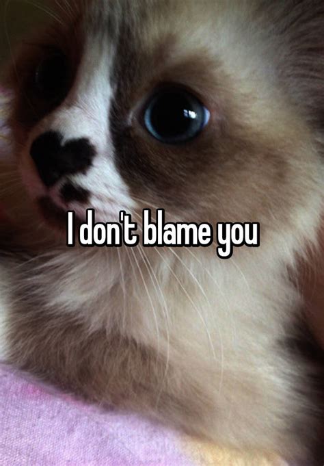 I Dont Blame You