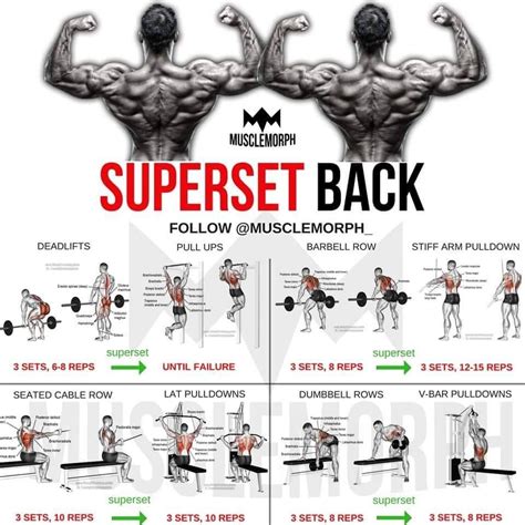 Pin By Ron D Beast On Printable Workouts Back Workout Bodybuilding