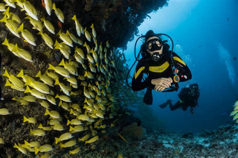 The answer depends on what kind of diving you do, but in general you go deep diving when you go deeper than. Scuba diving in Singapore: 5 Absolutely Stunning Spots