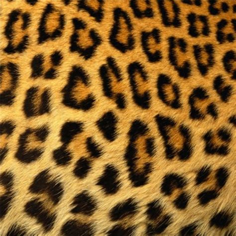 Second Life Marketplace Cheetah Texture