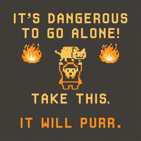 Its Dangerous To Go Alone T Shirt Cat Tshirts Funny Cat Shirts