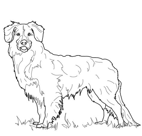 Golden Retriever Coloring Page For Animal Lovers Educative Printable
