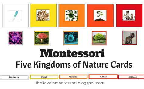 The Five Kingdoms Chart Montessori Printable Montessori Science