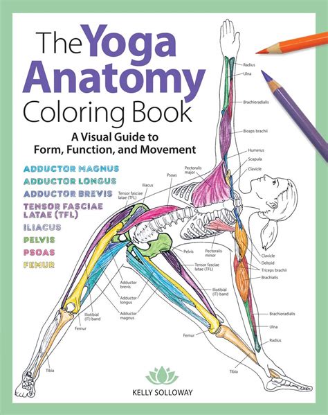 Anatomy Coloring Books For Med Students Massage Therapists And Yogis