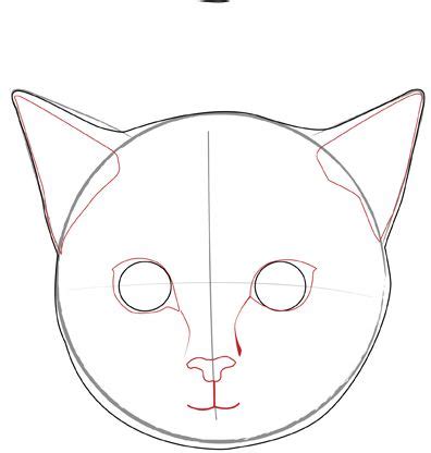 Animals are one of the most common things that you can see, regardless of where you come from. Draw a Realistic Cat's Face | Cat face drawing, Cat ...