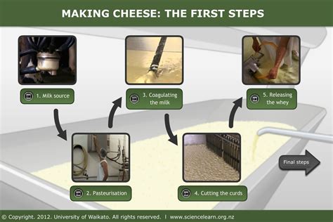 Manufacturing Gouda Cheese — Science Learning Hub How To Make Cheese