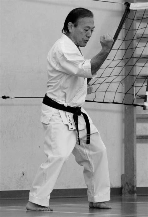 Kyudokan Higa Te Oscar Higa 10 Dan Okinawan Karate Soke Chinese