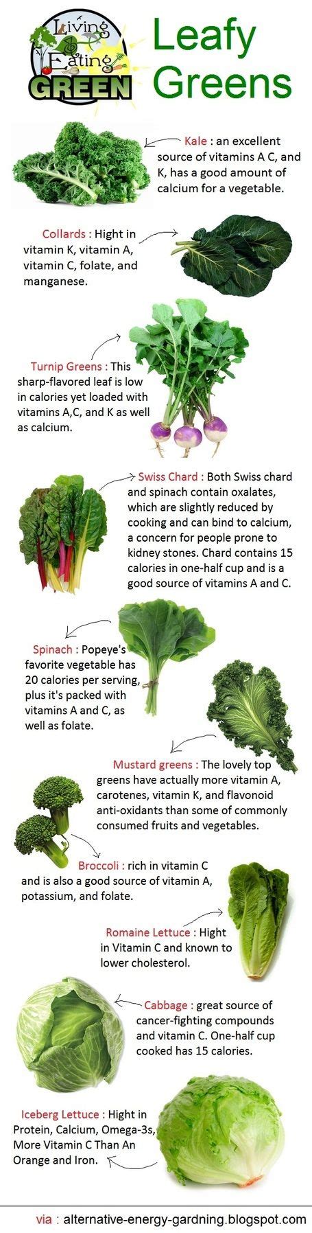 Leafy Green Vegetables Infographic Taher Inc Food Service Green Leafy Vegetable Green