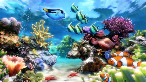 What you will find in fish live wallpaper: Sim Aquarium - Virtual Aquarium, Screensaver and Live ...