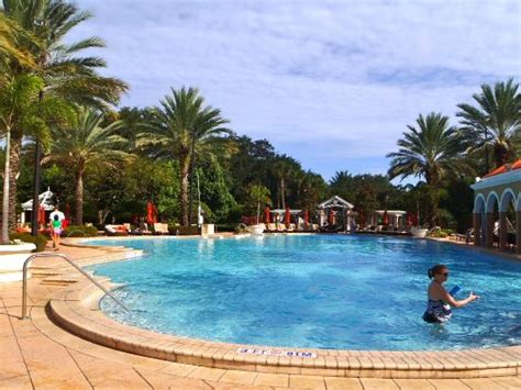 Early Morn View By Pool Picture Of Renaissance Orlando At Seaworld