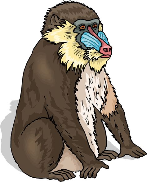 5 Baboon Clipart Preview Baboon Sideview W Hdclipartall