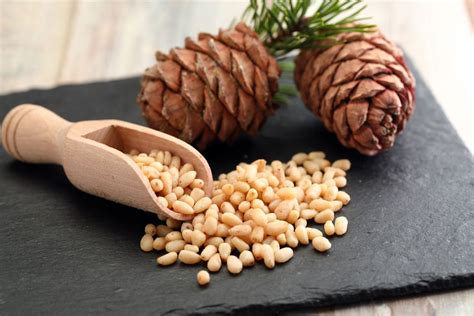 All About Pine Nuts