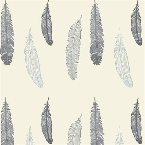 Free Download Feathers Wallpaper 736x736 For Your Desktop Mobile