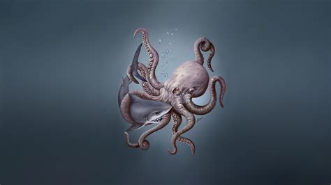 Octopus Hd Wallpaper Background Image 1920x1080 Id962