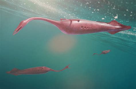 Or will she and marlo decide they're in love and fly this nest. The Tully Monster: The Carboniferous Enigma - Darwin's Door