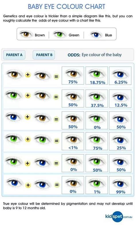 Eye Color Chart Eye Color Chart Eye Color Writing Tips Pin De Shannon
