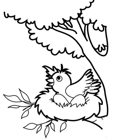 Coloring Pages Bird Nest