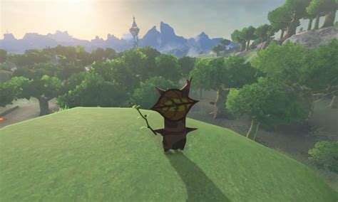 Someone Has Collected All 900 Korok Seeds In Zelda Breath Of The Wild