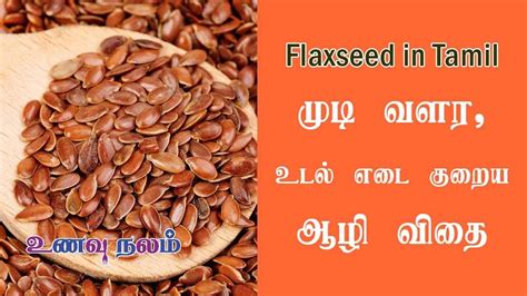 முடி வளர ஆழி விதை | Aazhi Vidhai in Tamil | Flax Seeds Tamil - YouTube