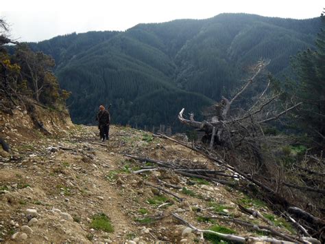 Aly and the Billy Goat