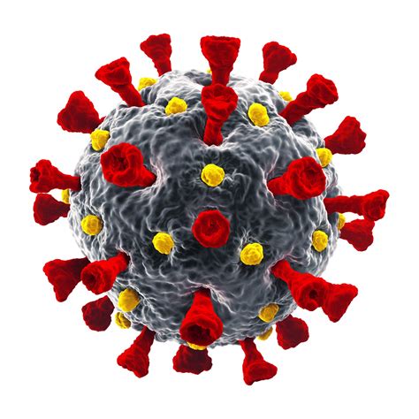 We did not find results for: SARS-CoV-2 Cell isolated - Coreinformatics.com
