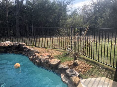 Hours may change under current circumstances Backyard paradise in North Texas - COLD HARDY PALMS - PalmTalk