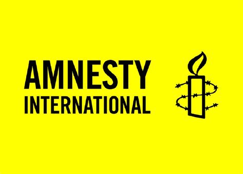 Amnesty International Emn Nederland Europees Migratienetwerk Nederland