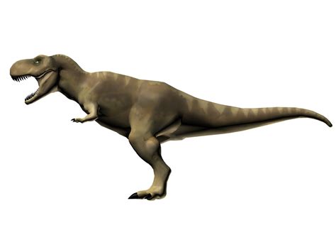 Tyrannosaurus Rex T Rex Dinosaurus Obr Zok Zdarma Na Pixabay Pixabay