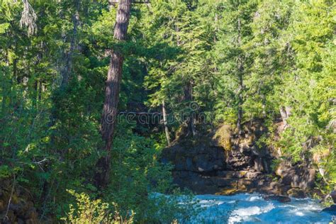 Rogue River Siskiyou National Forest Fotografering För Bildbyråer