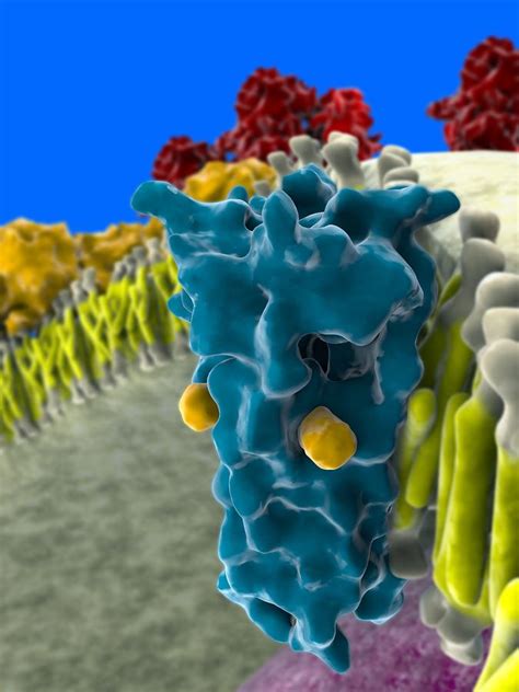 Blocked Flu Virus Ion Channel Artwork Photograph By Ramon Andrade